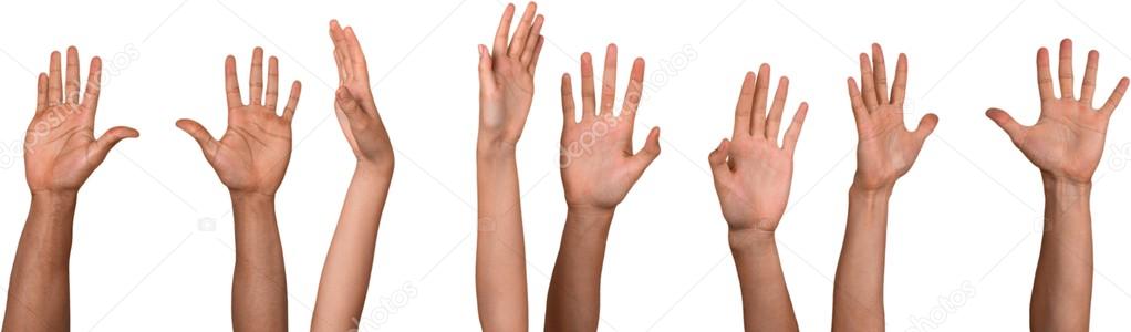 Set of raised hands