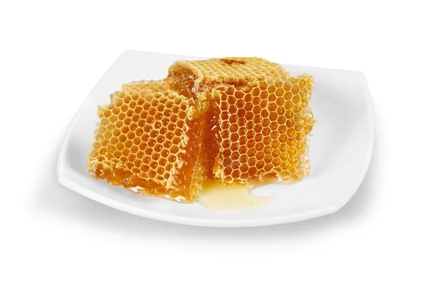 Honeycomb de cerca en el blanco —  Fotos de Stock