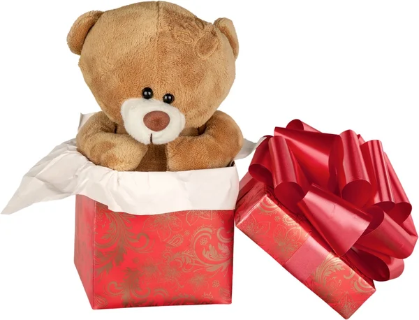 Плюшевий ведмідь у подарунковій коробці — стокове фото