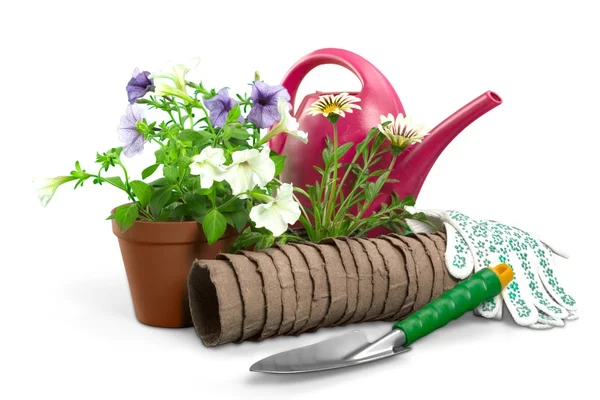 Flowers with garden tools — Stock Photo, Image