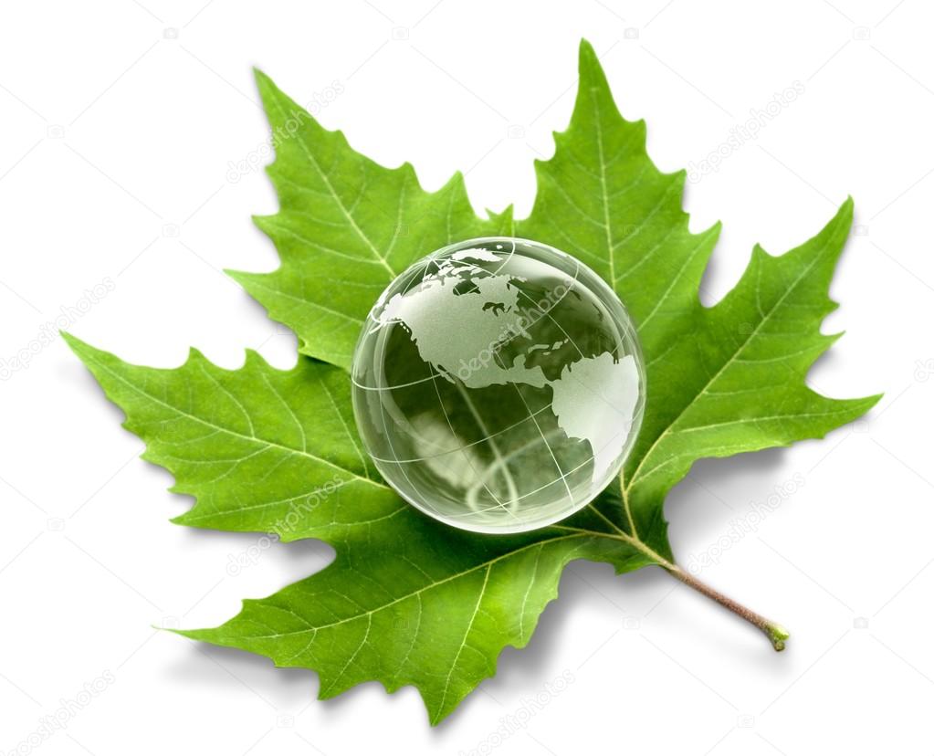 glass globe and green leaf