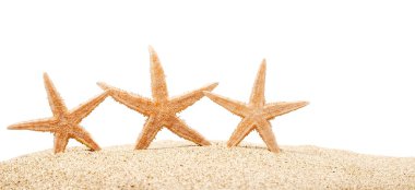 Starfishes izole kum ile 