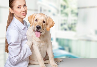 köpek ile güzel genç hayvan hastalıklarıyla ilgili 