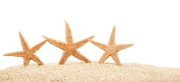 Zeesterren met zand geïsoleerd — Stockfoto