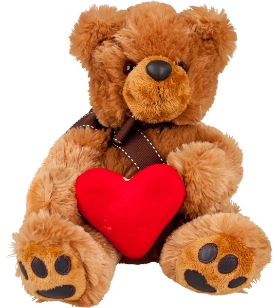 Niedlicher Teddybär — Stockfoto