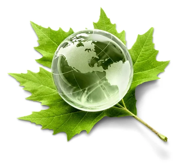 Glass globe and green leaf — Stock Photo, Image