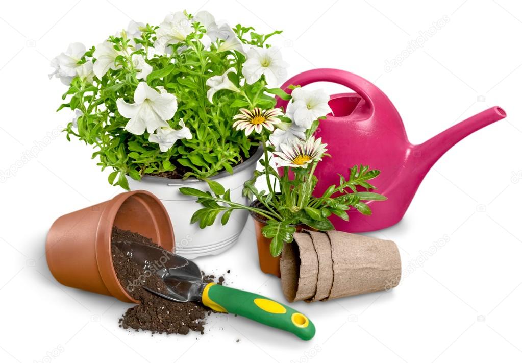 Gardening Equipment and plant