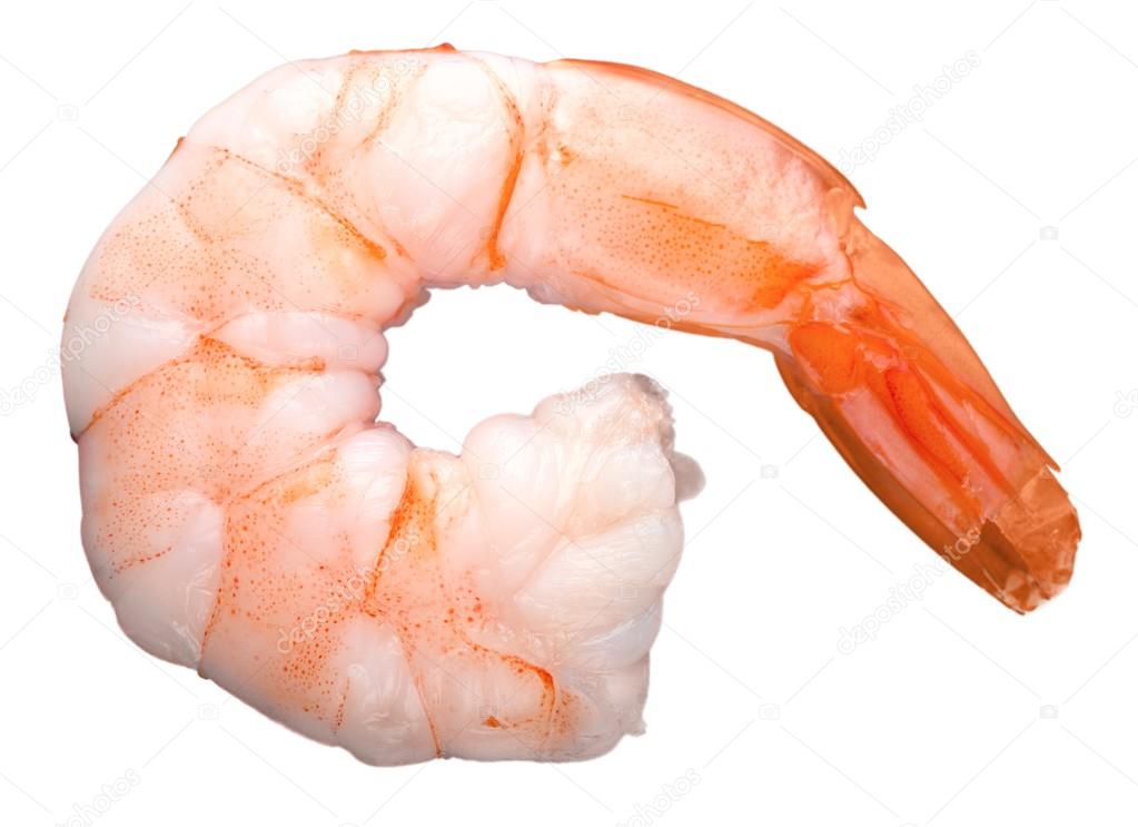 Cooked shrimp isolated 