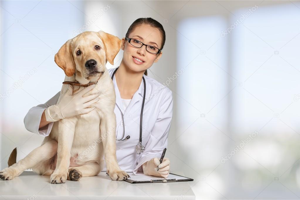 beautiful young veterinarian with dog 