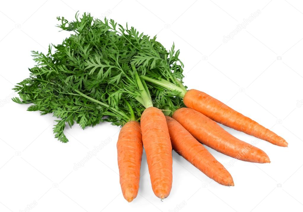 fresh carrots isolated