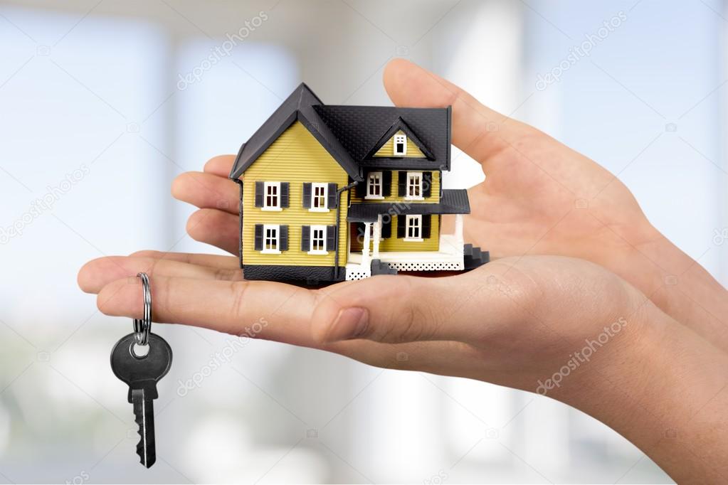 house in human hand