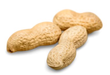 kurutulmuş portre fıstık