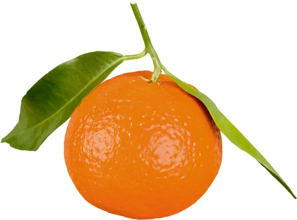 Eine Orangenfrucht — Stockfoto