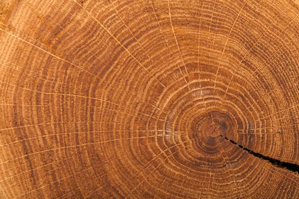 Fundo de madeira, close up — Fotografia de Stock