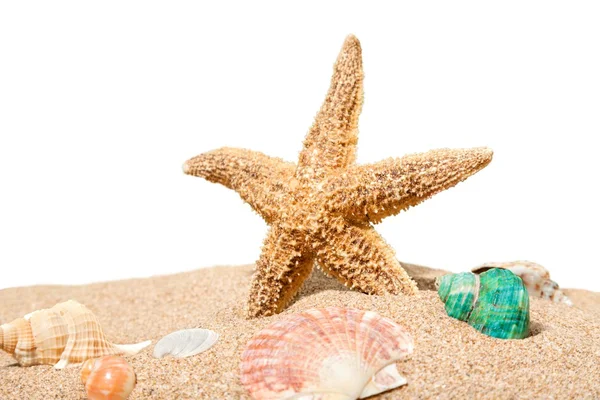 Estrella de mar en arena de playa —  Fotos de Stock