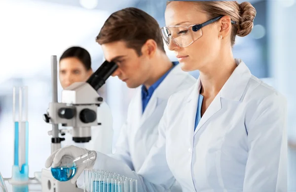 A laboratóriumban dolgozó tudósok — Stock Fotó