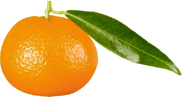 1 つのオレンジ色の果物 — ストック写真