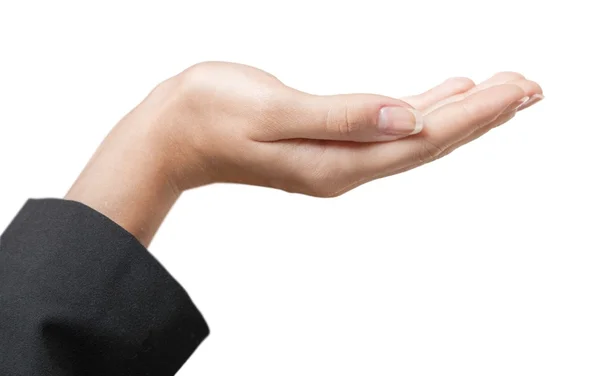 ⬇ Скачать Картинки Рука Держит Чек, Стоковые Фото Рука Держит Чек.