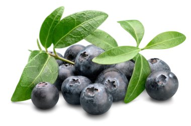 Olgun taze yaban mersini