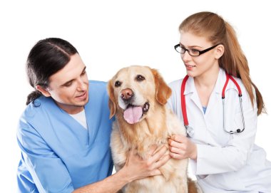 köpek veteriner Kliniği