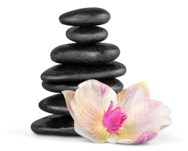 Pedras de basalto zen e flor — Fotografia de Stock