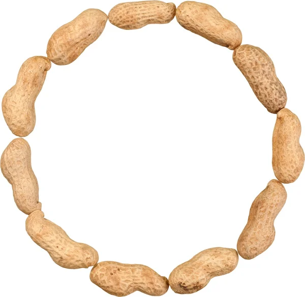 Amendoins crus no quadro conchas — Fotografia de Stock