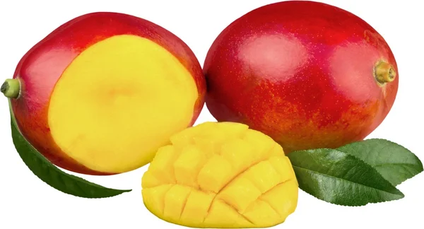 Mango vruchten geïsoleerd — Stockfoto