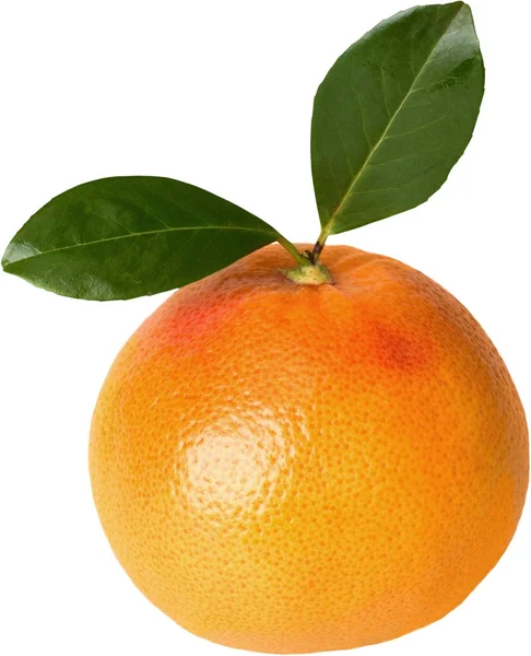 Eine Orangenfrucht — Stockfoto