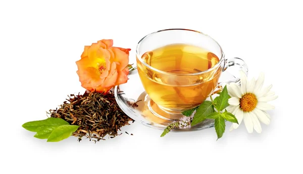 Cup of herbal tea — Stock Photo, Image