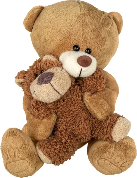 Niedliche Teddybären — Stockfoto