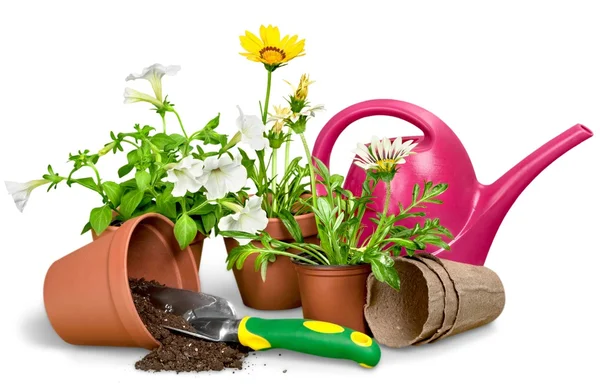 Gardening Equipment and flowers — Stock Photo, Image