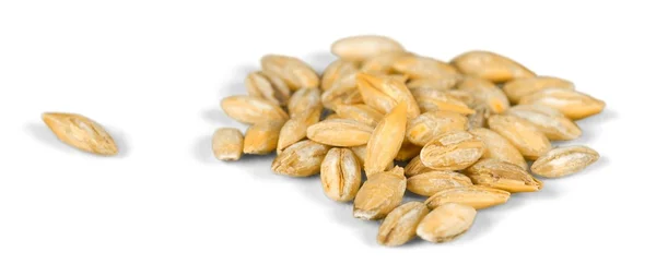 Pile of Ripe seeds — Stock Photo, Image