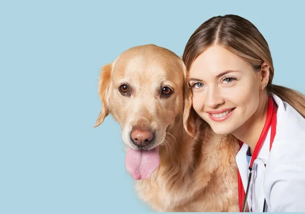 Belo veterinário jovem com cão — Fotografia de Stock