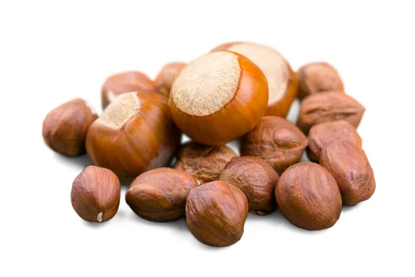 Forest nuts hazelnuts isolated — Stock Photo, Image