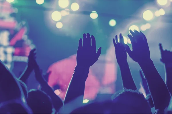 Audience with hands raised at a music festival — Stock Photo, Image