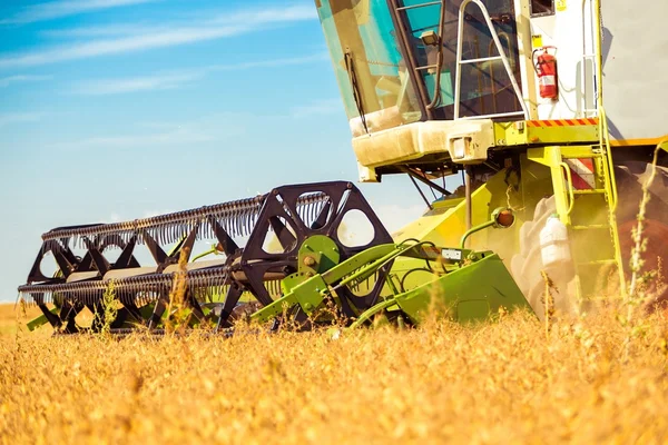 Combine machine on farm field — Stock Photo, Image