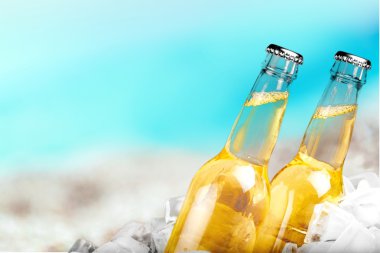 Soğuk bira şişesi