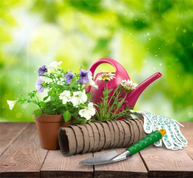 Bahçe malzemeleri ve çiçekler.