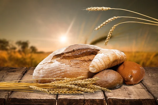 Vers zelfgemaakt brood — Stockfoto