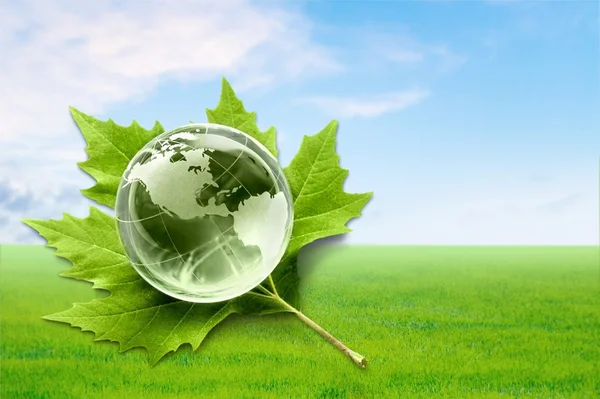 Glazen globe en groen blad — Stockfoto