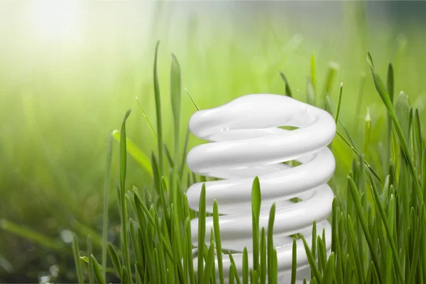 Eco lamp on  background — Stock Photo, Image