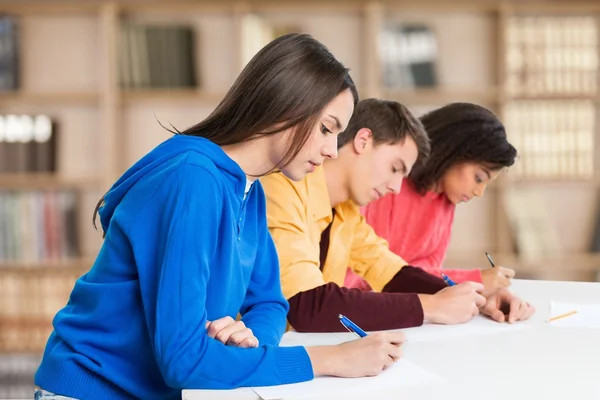 Giovani studenti che studiano — Foto Stock