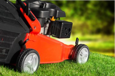 Lawn mower on a lawn  clipart