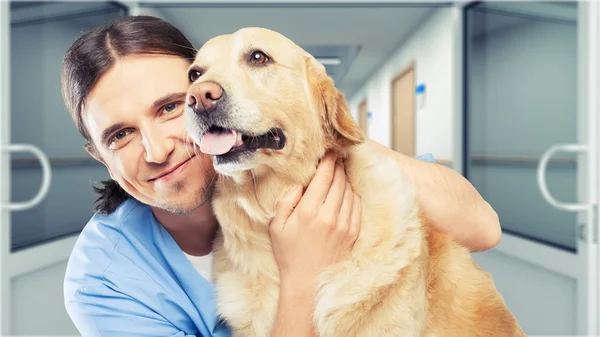 Mannelijke dierenarts met hond — Stockfoto