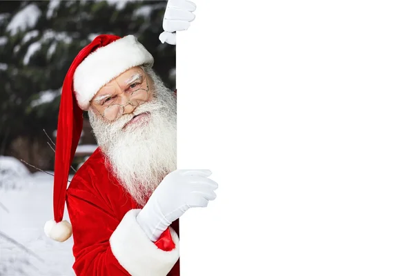 Santa Claus elszigetelt portréja — Stock Fotó