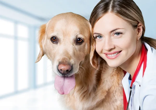 Mooie jonge dierenarts met een hond — Stockfoto