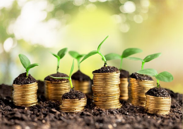 Coins in soil with young plants