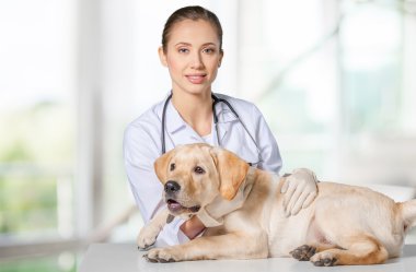 bir köpek ile güzel genç hayvan hastalıklarıyla ilgili 