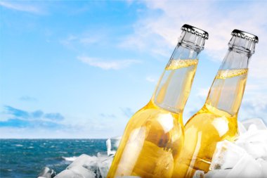 Soğuk bira şişesi