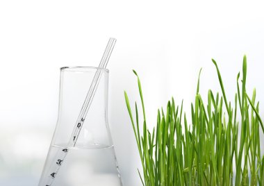 Yeşil çim ve test şişesi